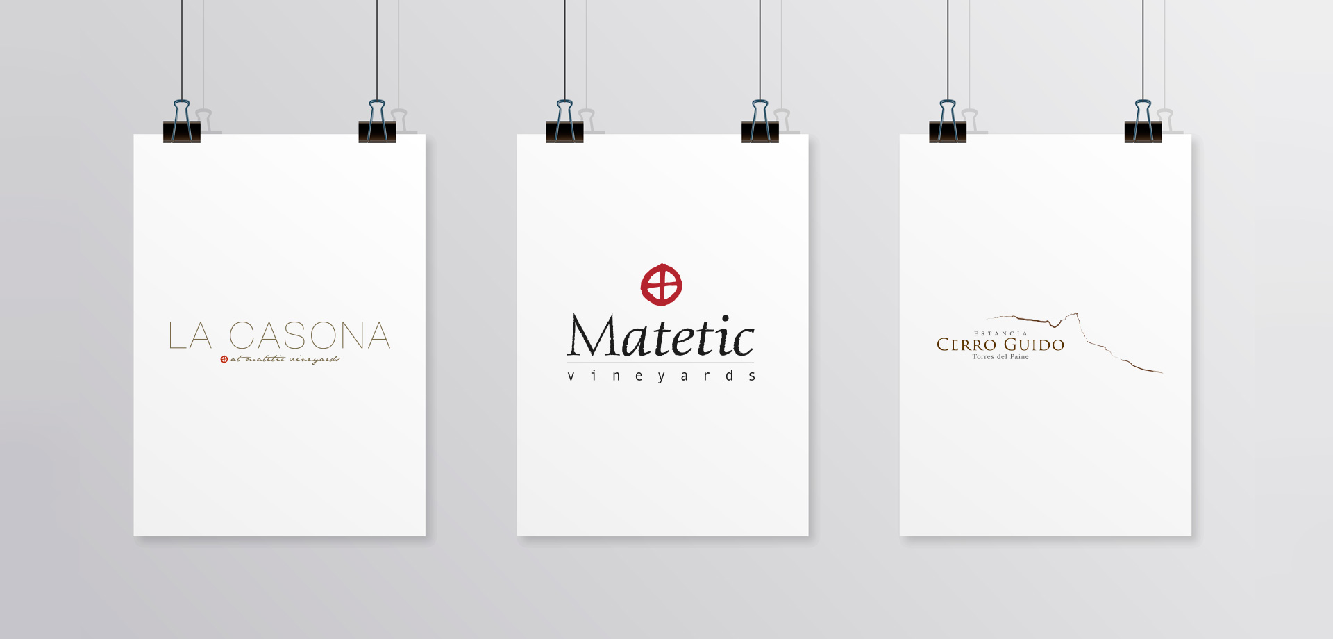 expresa-branding-03