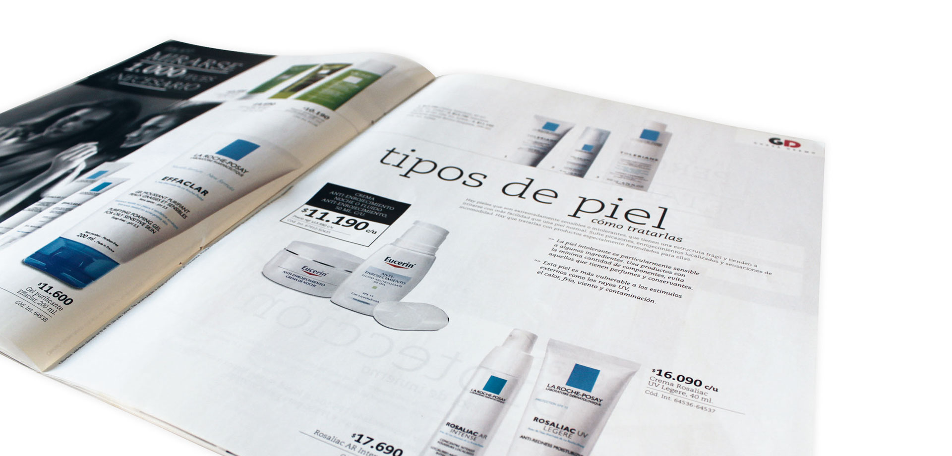expresa-catalogos-043