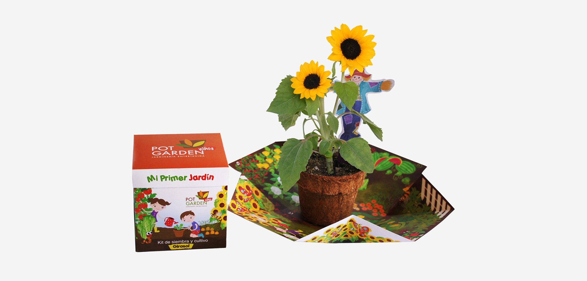 slide-expresa-packaging-002